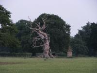 Albums/20090700-Windsor Great Park/18